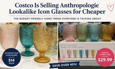 costco is selling anthropologie lookalike icon glasses for cheaper