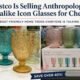 costco is selling anthropologie lookalike icon glasses for cheaper